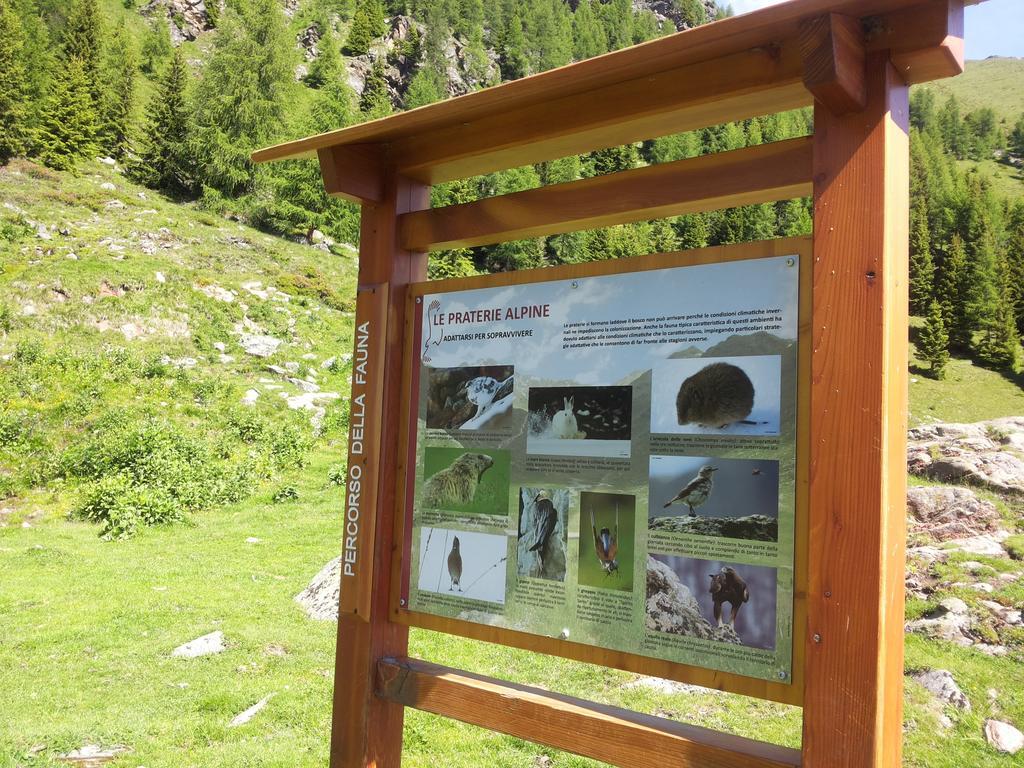 Appartamenti Rabbi Fonti Bagni di Rabbi Exterior foto